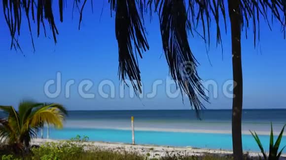 墨西哥加勒比海的霍伯克岛海滩视频的预览图