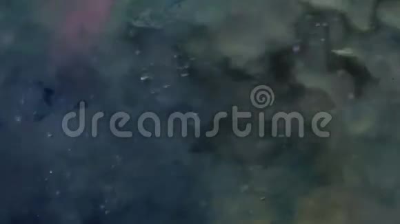 液体抽象颜色背景视频的预览图