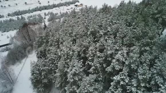 鸟瞰冬季雪林视频的预览图