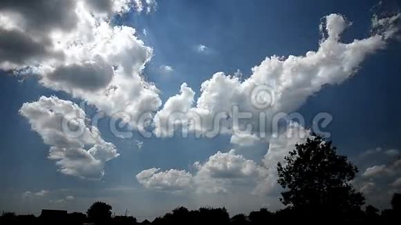 云天日天自然视频的预览图