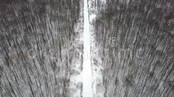 冬季森林积雪覆盖的道路俯视视频的预览图