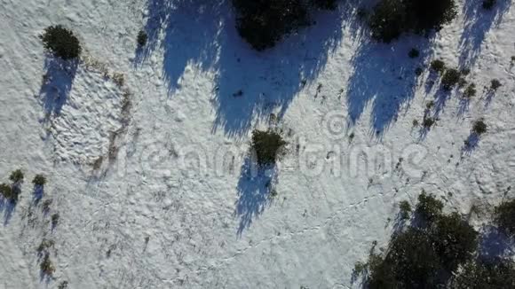 雪覆盖的冬季冰冻森林的鸟瞰图视频的预览图