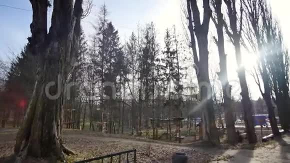 秋天公园里的树天空背景视频的预览图