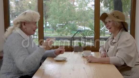 两位高级女性的谈话视频的预览图