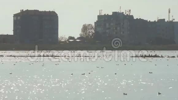 保加利亚波莫里湖的日落视频的预览图