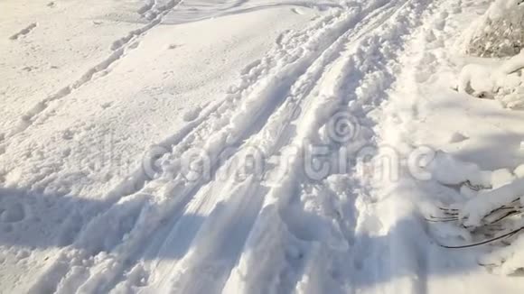 晴朗天气下的雪林树在雪的重压下弯曲视频的预览图