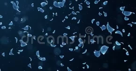 飞行浪漫的深蓝玫瑰花瓣坠落背景回路4k视频的预览图