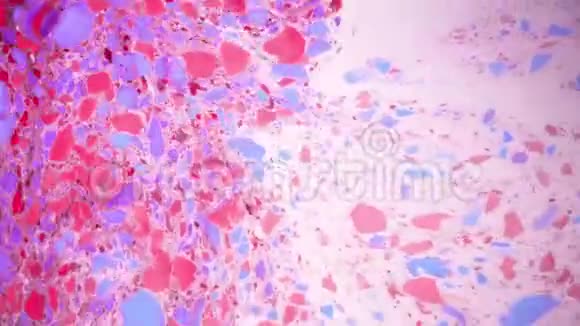 抽象彩色背景镜头水上的油漆污渍埃布鲁艺术大理石纸视频的预览图