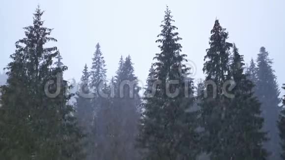 山水村雪冬视频的预览图