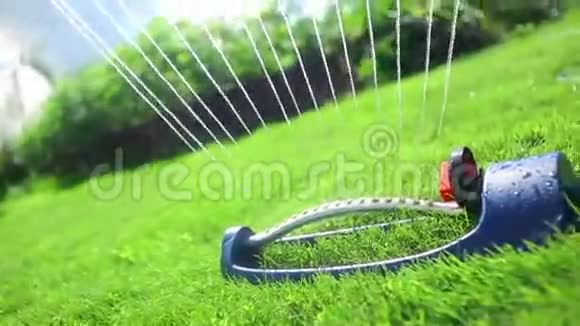 草坪洒水器在绿草上喷水视频的预览图