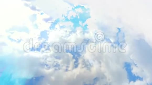 冰冻的水和阴云密布的天空之间的树视频的预览图