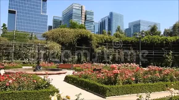 智利公园的玫瑰花园视频的预览图