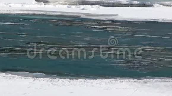 河流在融化的冰中流动视频的预览图