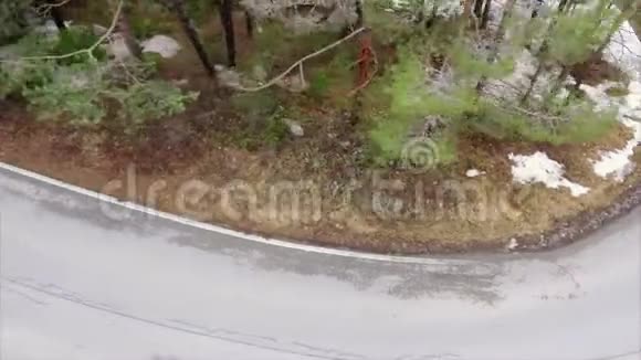 针叶林中的道路视频的预览图