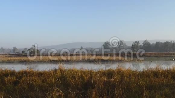 印度国家公园有湖泊的美丽景观视频的预览图