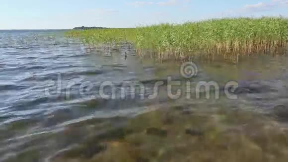 夏季拉什伊湖视频的预览图