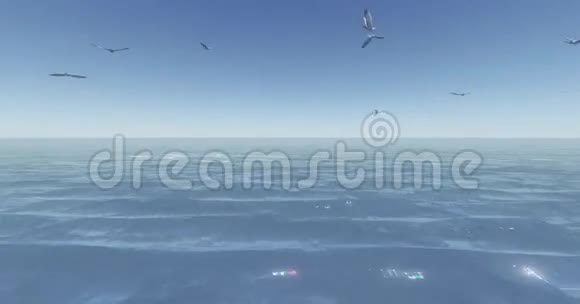 海鸥飞越海洋水面视频的预览图