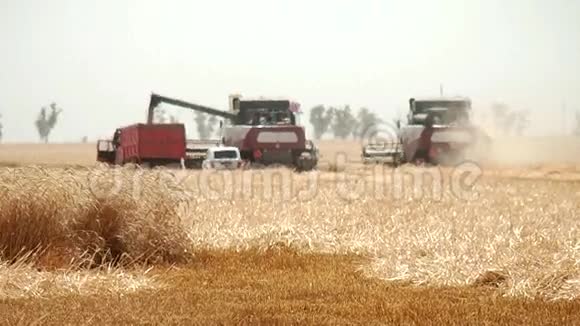 农业和收割机视频的预览图