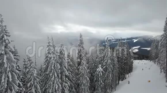 雾覆盖雪的松树的鸟瞰图视频的预览图