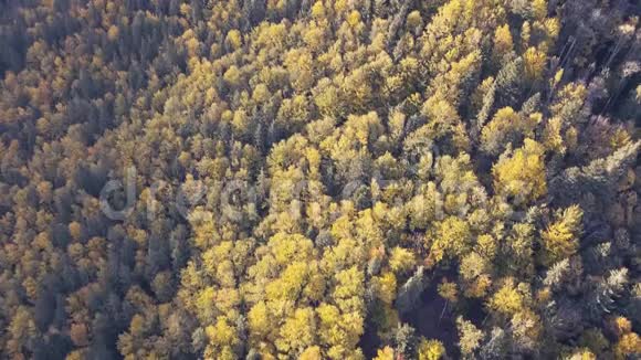 鸟瞰Vorohta附近的其他秋季喀尔巴阡山脉视频的预览图
