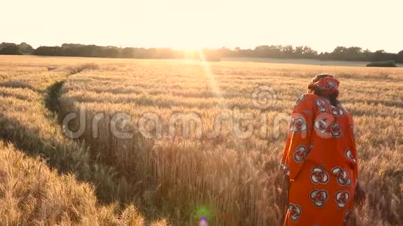 在日落或日出时穿着传统服装站在庄稼地里的非洲妇女视频的预览图