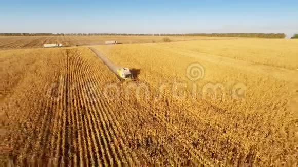 收割机在玉米地工作视频的预览图