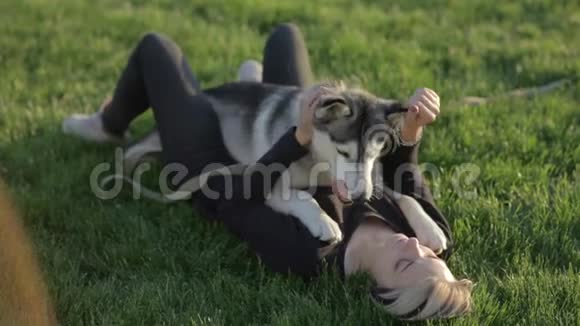 美丽的年轻女子在草地上的公园里玩有趣的哈士奇狗视频的预览图