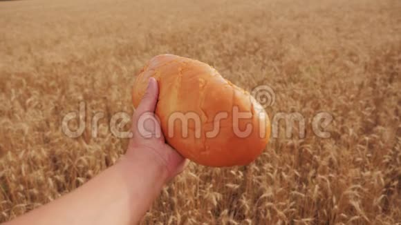 人类在麦田里拿着一条面包慢动作视频小麦领域的成功农学家收获时间面包视频的预览图