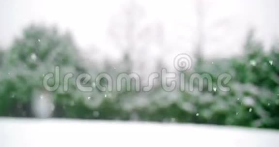冬天树木被雪覆盖视频的预览图