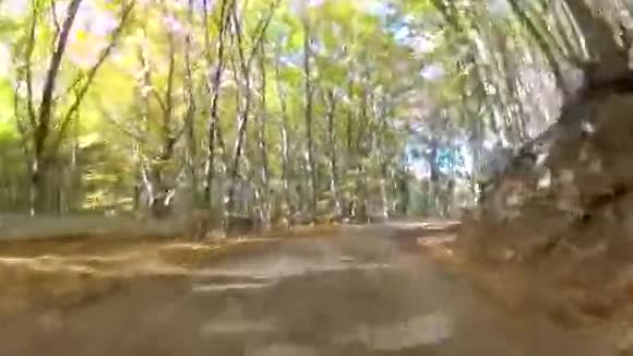 蜿蜒的道路穿过林地视频与GoPro视频的预览图