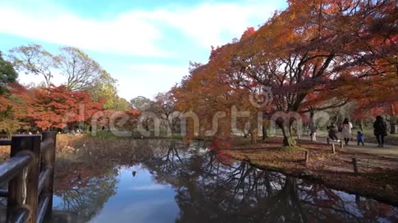 京都植物园美丽的秋色视频的预览图