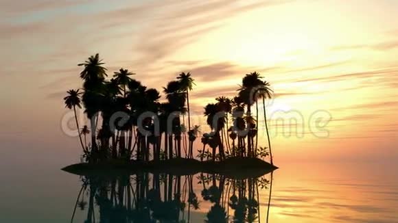 带岛和棕榈树的海上日落视频的预览图