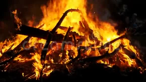 森林中夜间燃烧的树枝的大篝火背景慢动作视频的预览图