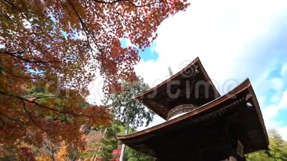 美丽的秋色乔雅科吉视频的预览图