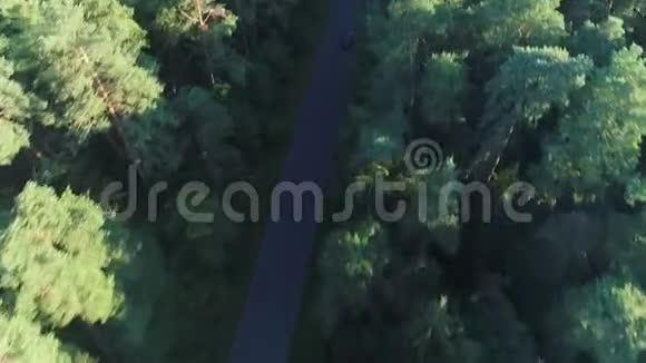 森林中跑车驾驶的鸟瞰图视频的预览图