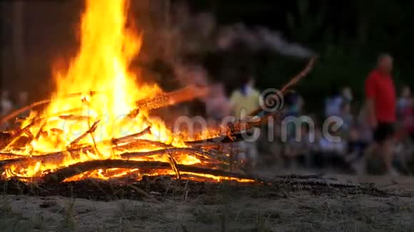 人们背景下森林中的树枝夜间燃烧的篝火视频的预览图
