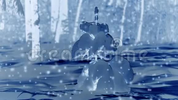 森林树在冬天的夜晚下雪视频的预览图
