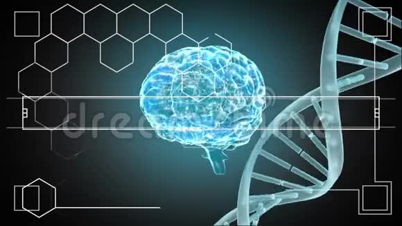 DNA和大脑旋转视频的预览图