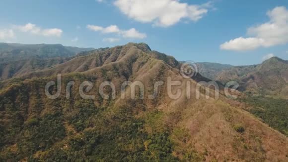 山林景观巴厘岛视频的预览图