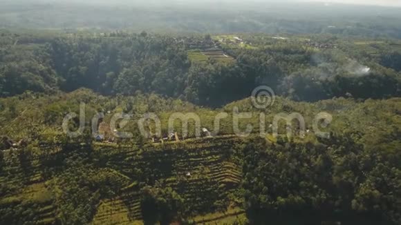 山地景观与农田巴厘岛印度尼西亚视频的预览图