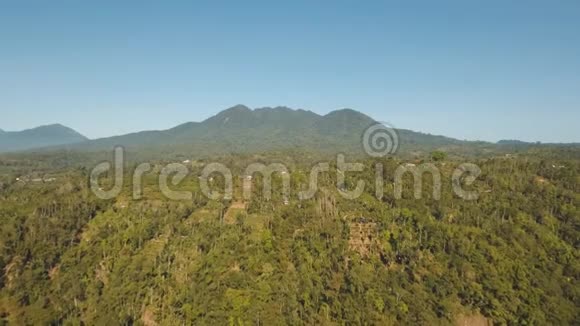 山地景观与农田巴厘岛印度尼西亚视频的预览图