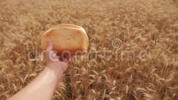 人类在麦田里拿着面包慢动作视频小麦领域的成功农学家收获时间面包视频的预览图
