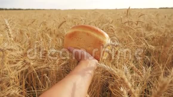 人们在麦田里过着一种生活方式慢动作视频小麦领域的成功农学家收获视频的预览图