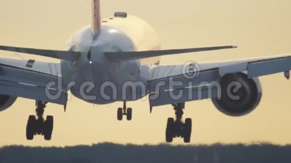 飞机在清晨降落视频的预览图