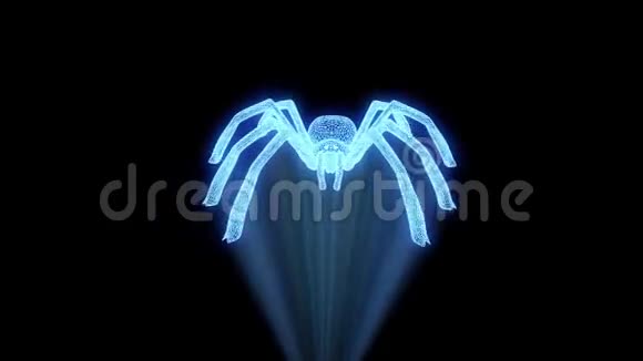 全息线框风格的蜘蛛不错的三维渲染视频的预览图