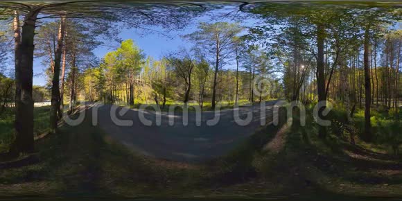 UHD4K360VR虚拟现实美丽的阳光山林景观视频的预览图