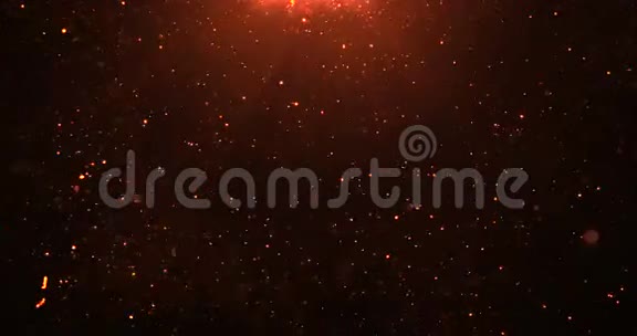 金色闪光的气泡颗粒在黑色的背景上闪闪发光喜庆的新年假期视频的预览图