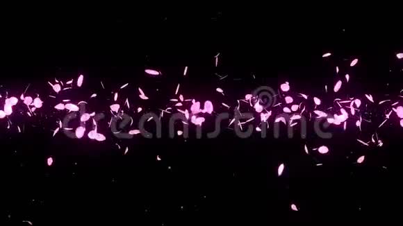 樱花花瓣飘落CG花瓣纸屑循环动画春花日本文化视频的预览图