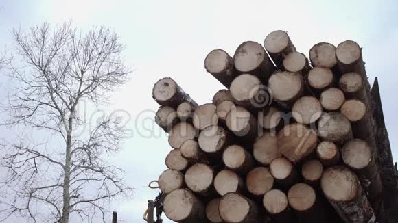 起重机臂从锯木厂的卡车上卸下木材原木视频的预览图