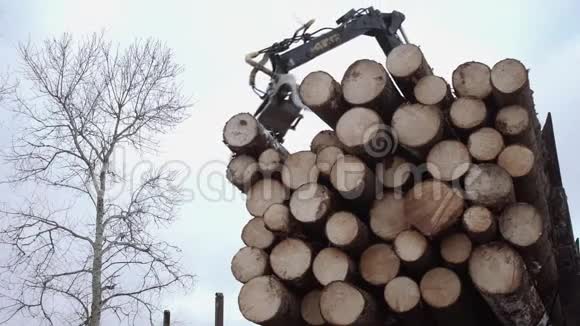 起重机爪从锯木厂的卡车上卸下木材原木视频的预览图